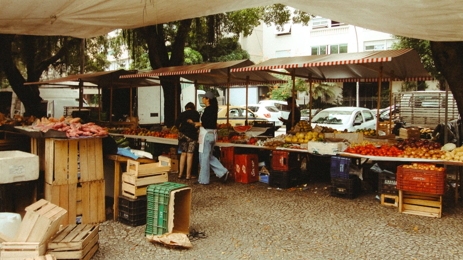 Barracas de feira livre com frutas e verduras expostas, e uma cliente escolhendo produtos no balcão.